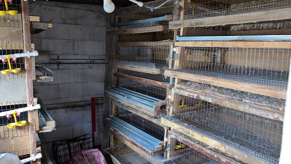 Срочно продам сетки для птицы , брудеры