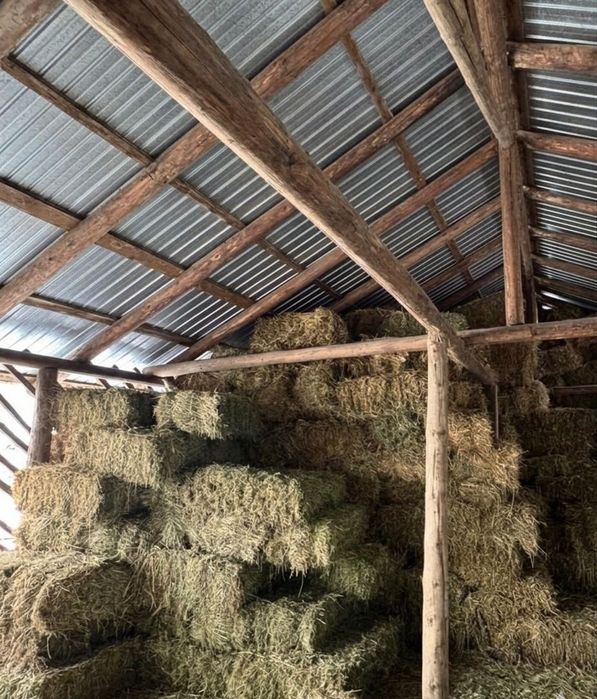 Baloți LUCERNĂ coasa 2 și 3