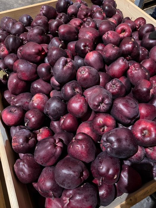 Mere și pere de vânzare