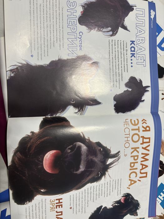 Журналы про собак