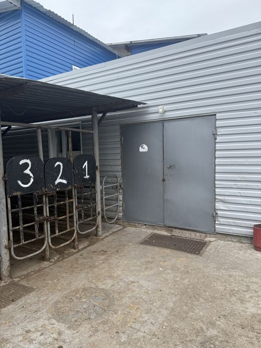 Убойный пункт для забоя скота