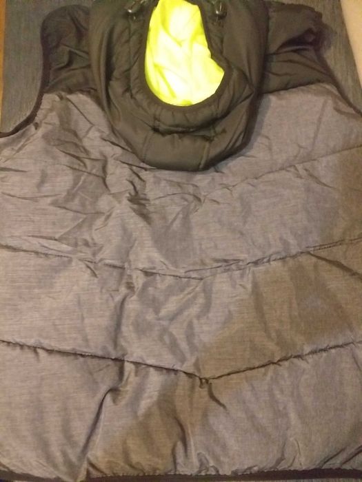 Vesta captusita (Chapter/Takko), XL