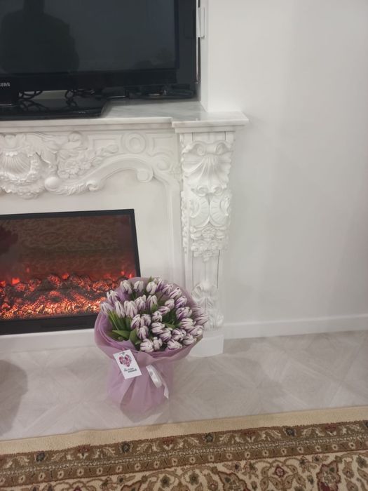 Свежий тюльпан 31 шт