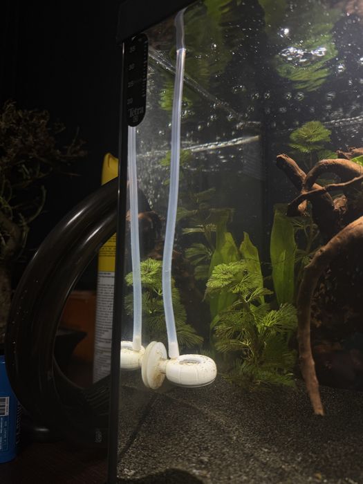 Vand Sistem complet co2 acvariu