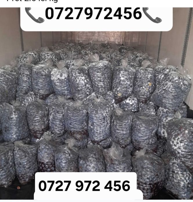Prune de țuica/pălincă