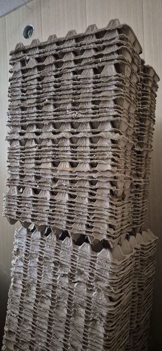 Лотки для яиц (каретка)