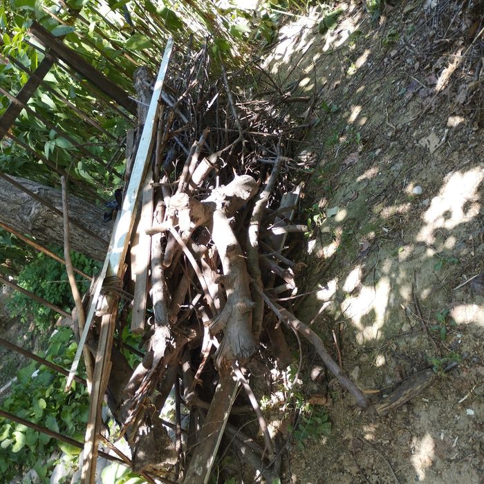 O'tin arzonga, har xil Yunusobod