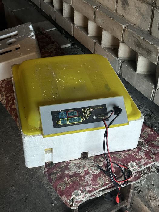 Инкубатор новый