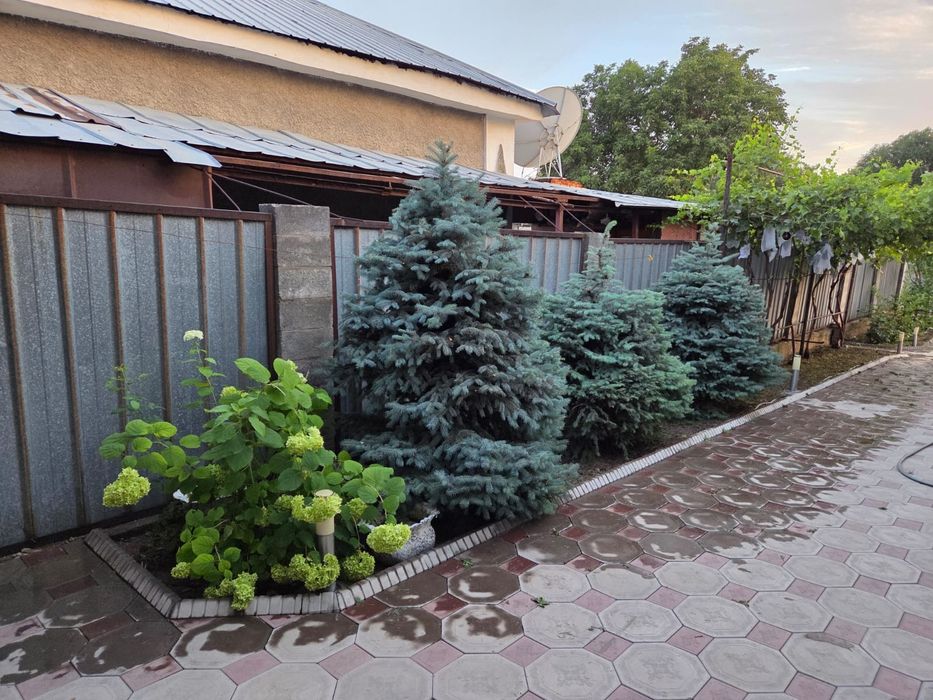 Уход за дачей и участком в Алматы