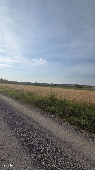 Teren intravilan de vanzare – Viile Satu Mare