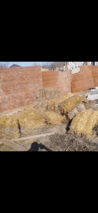 Пластик терезелер