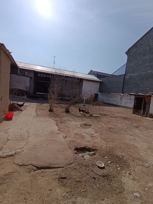 Ховли ориентир хужасоат