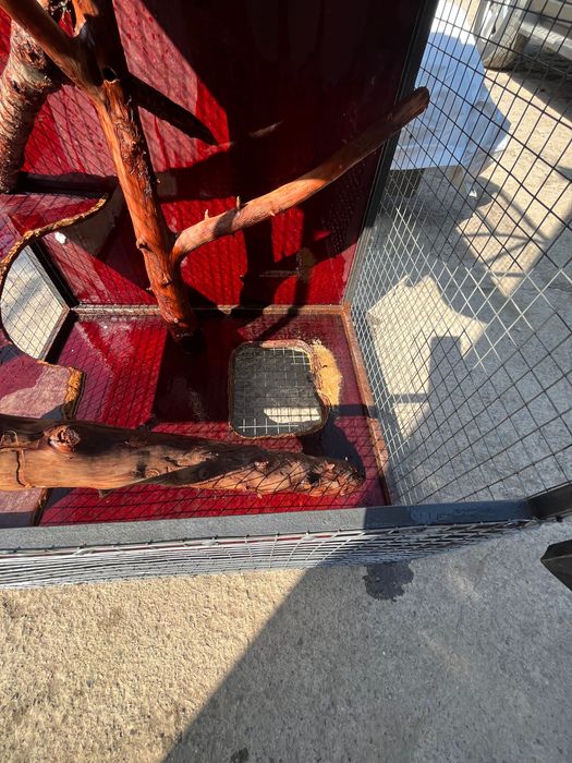 Клетка для животных