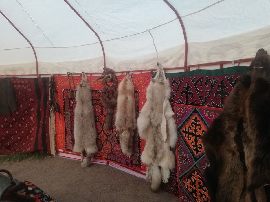 Юрта в аренду до 80 человек