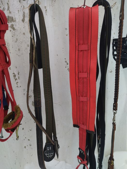 Подпруги для лошадей