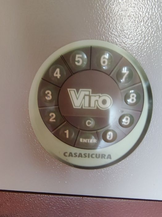 Viro de la Casasicura/ Oradea city