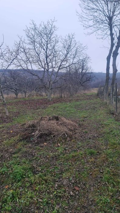 teren + casa batraneasca satul Hilita com Costuleni intravilan