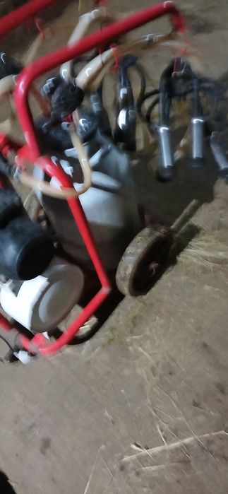 Апартаменты доильный