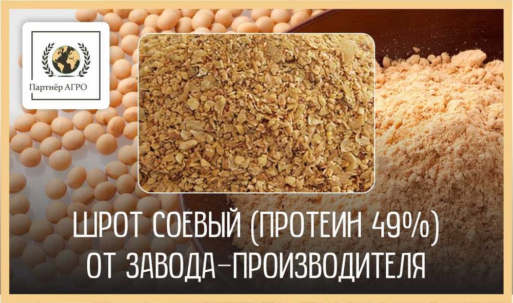 Соевый шрот АСВ 49% и 51% со склада в Кокшетау
