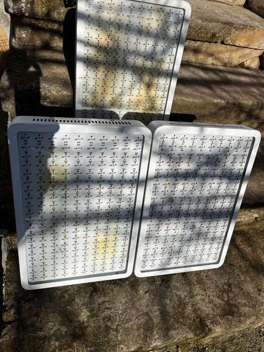 Лед лампи за растеж на растения