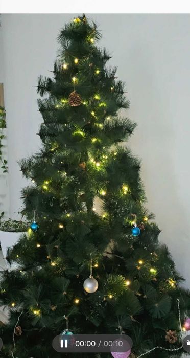 Ёлка зеленая пышная