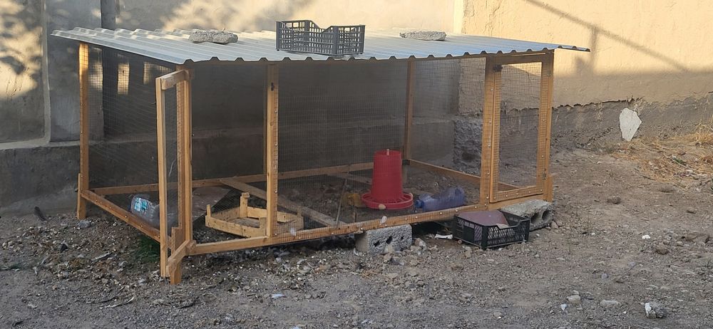 Tovuq katak sotiladi