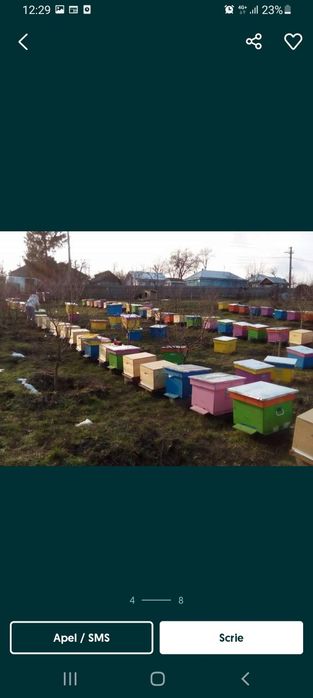 Miere de abline calitate superioara!