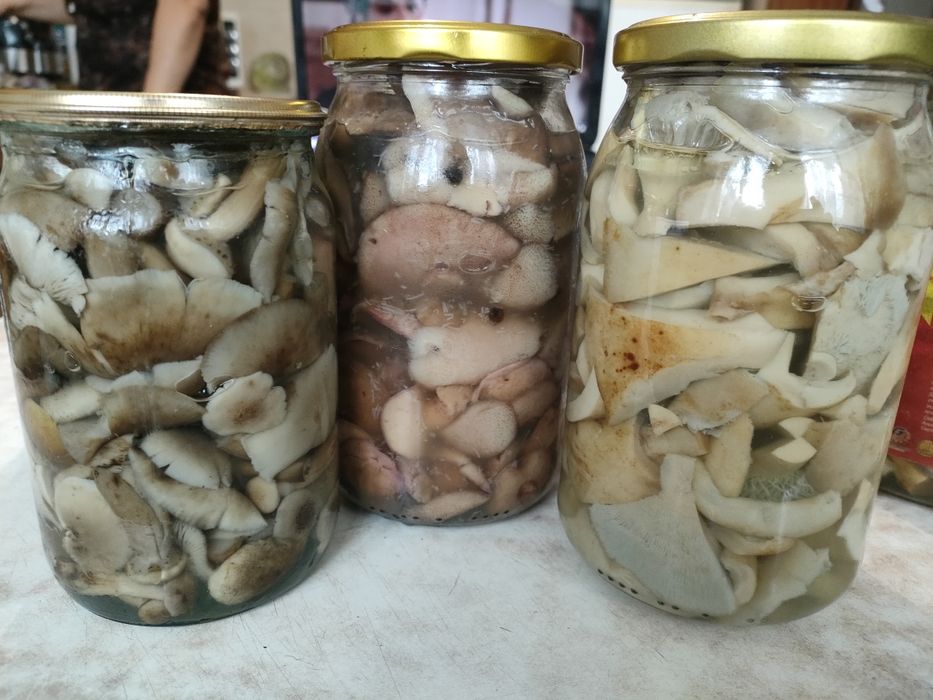 Продам соленые и маринованные грибы