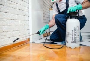 Дезинфекция Dezenfeksiya Клопов Тараканов Мухи Камари Гарантия на год