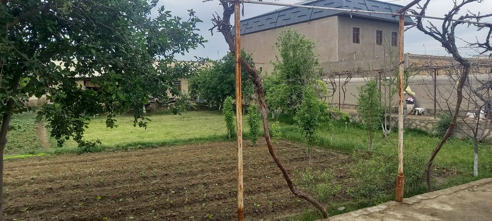 Тайёр ховли жой сотилади 12 сотих