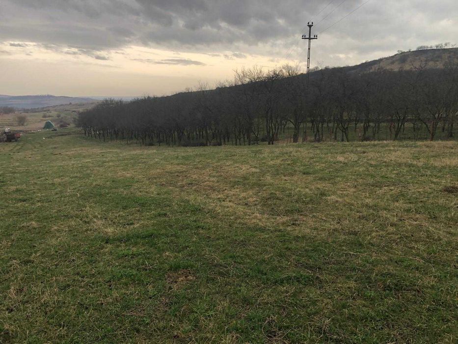De Vânzare Teren Intravilan – 6.600 mp – Bădești, Jud. Cluj