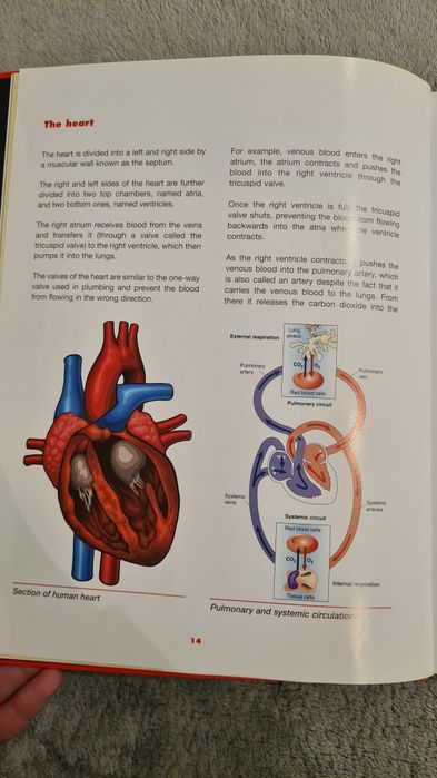 Европейска готварска книга със здравословни рецепти на английски език!