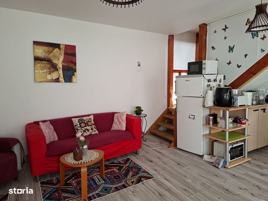 Drumul Taberei, Raul Doamnei