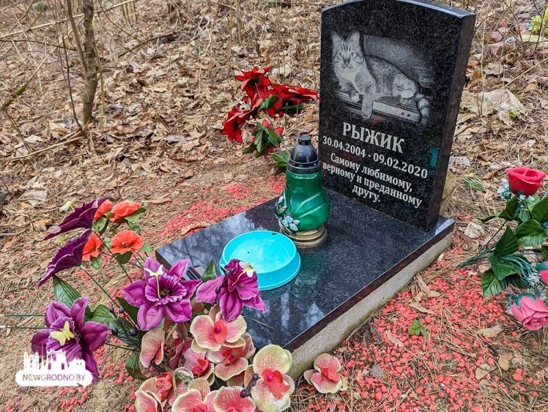 Ветеринар ветврач выез на дом