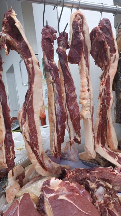 Жылкы/Конина/Сиыр/Говядина