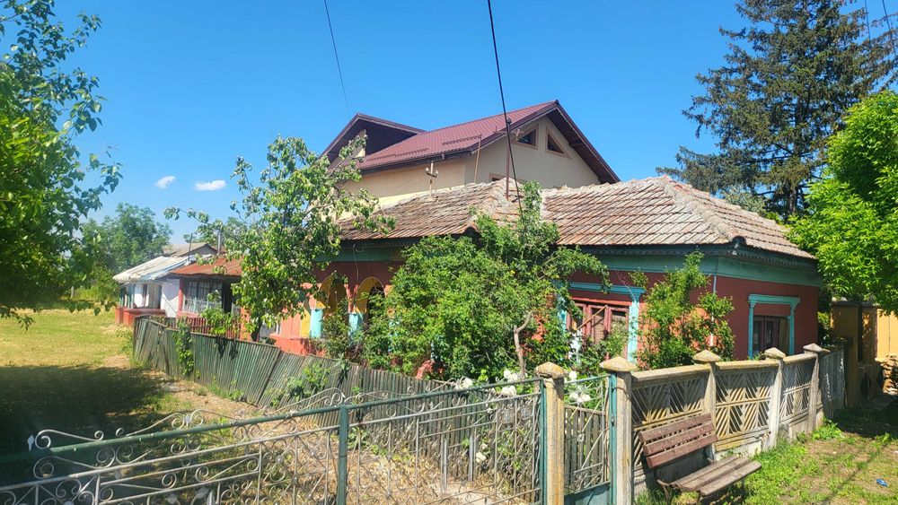 Casa batraneasca  cu teren si vie in comuna Baneasa, jud. Giurgiu - Strada Principala, DN 41