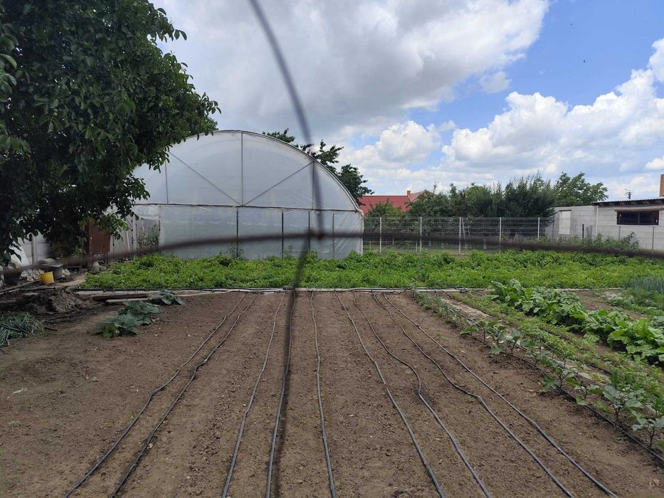 Vând loc de casă în loc Carei - Mai multe