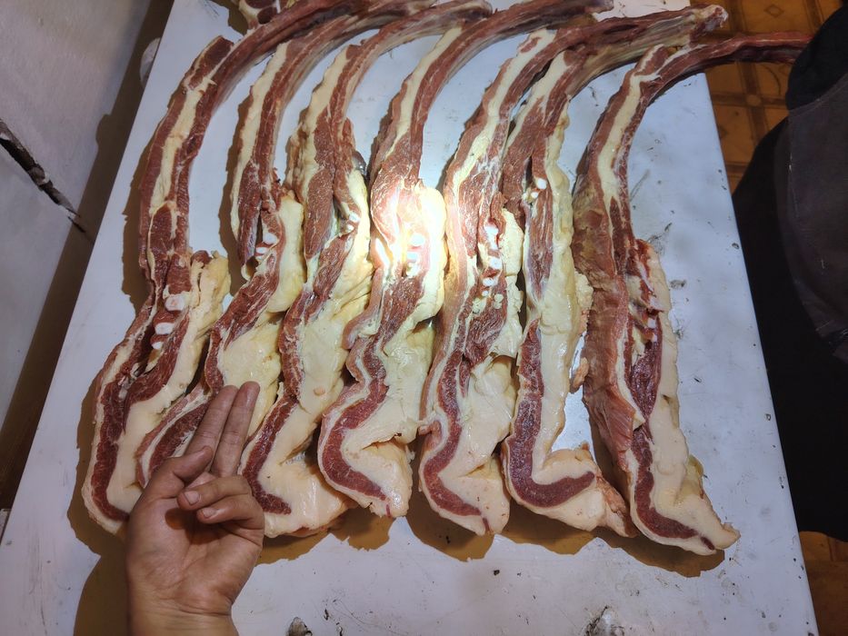 Продам согым конина