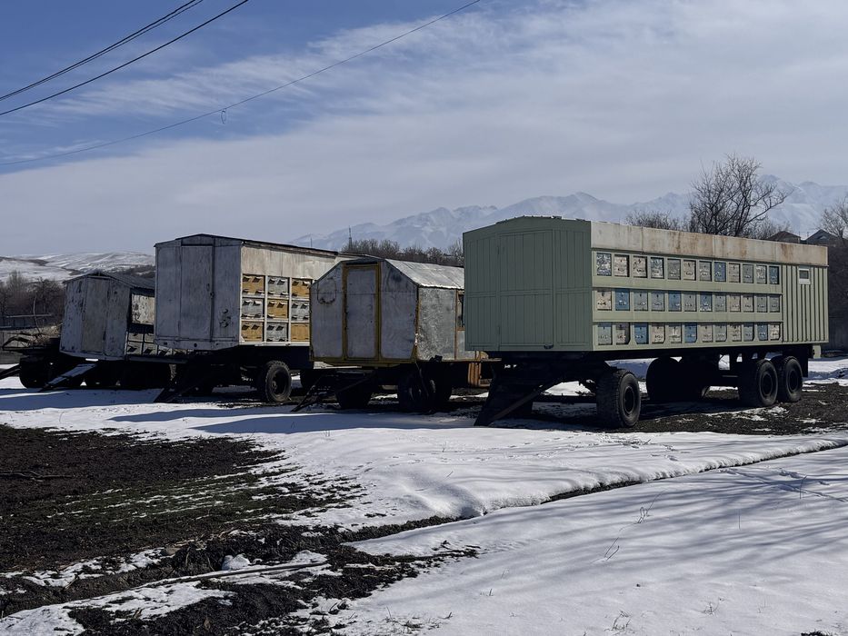 Пчелоприцепы 4 прицепа