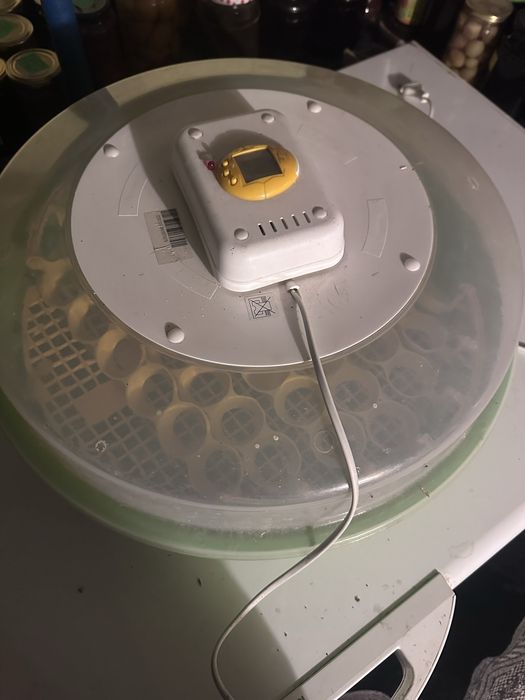 Incubator 60 oua semiautomat