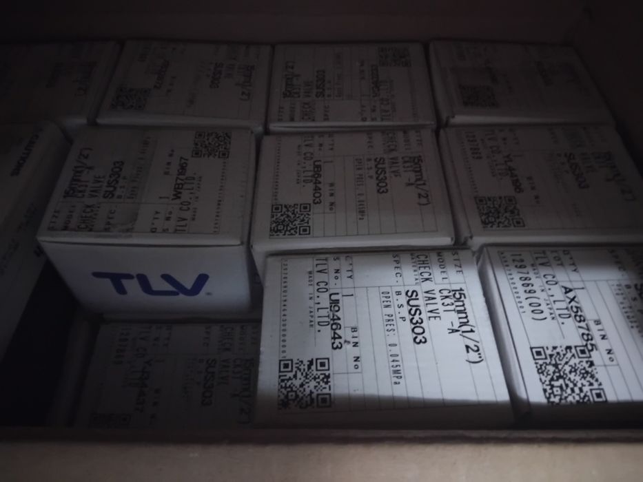 Supapa de sens 1/2 inox TLV Noi 20 bucati