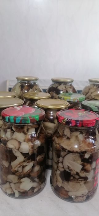 Продам грибочки очень вкусные