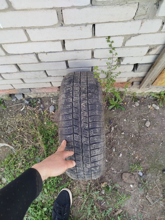 Продам шину на 14