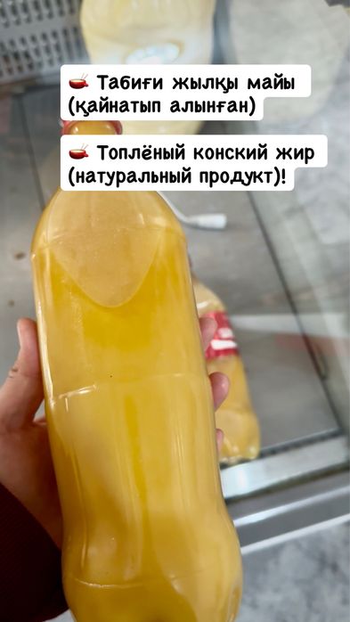 Жылқының табиғи таза майы, конский жир