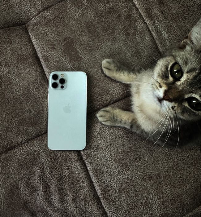 iphone 12 pro ideal holatda,sovg’aga 2 ta yangi chexol qo’shib beraman