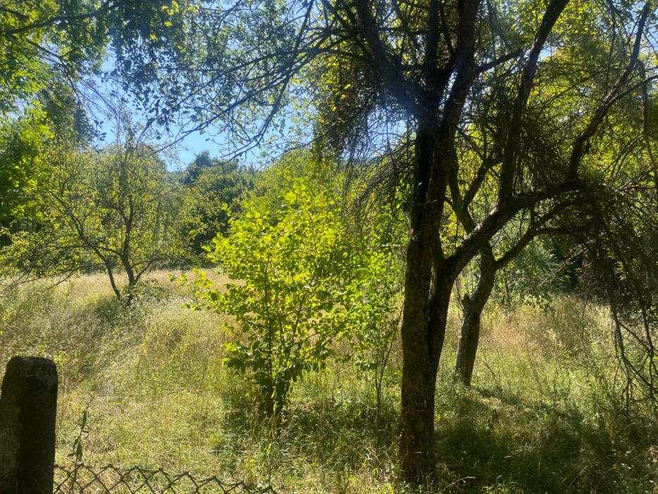 Продава се Парцел в София, Обеля 1 - 1025 кв.м за 40 €/кв.м - Снимка #2