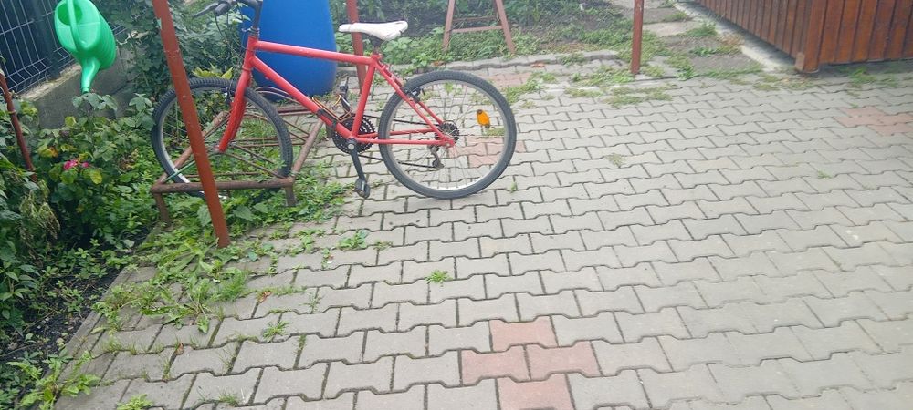 Vand bicicleta urgent