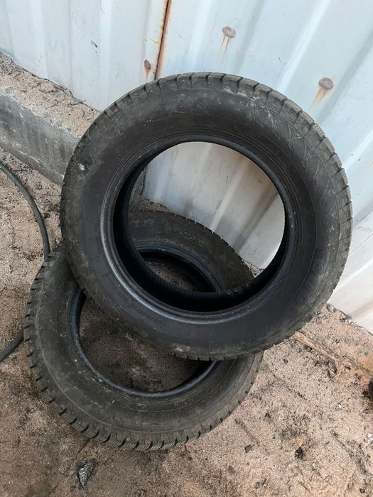 Зимние шины Пассат