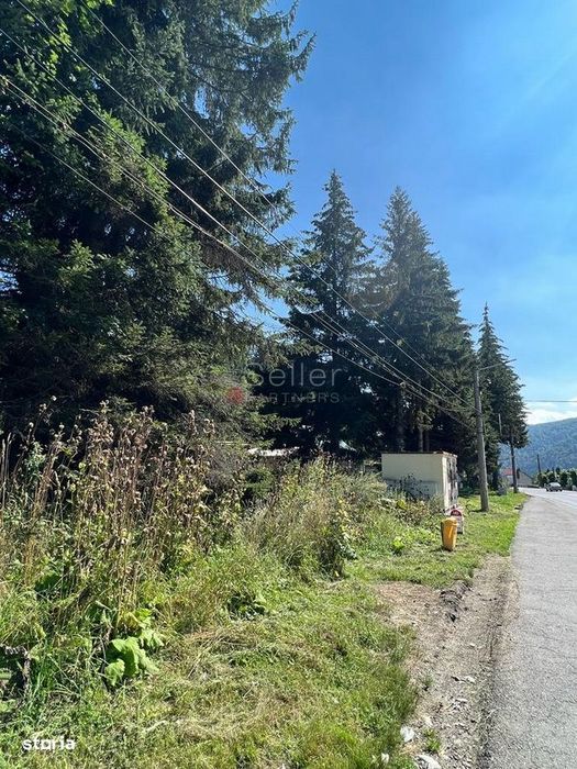 Teren Intravilan Predeal - Acces direct DN - Priveliste deosebita