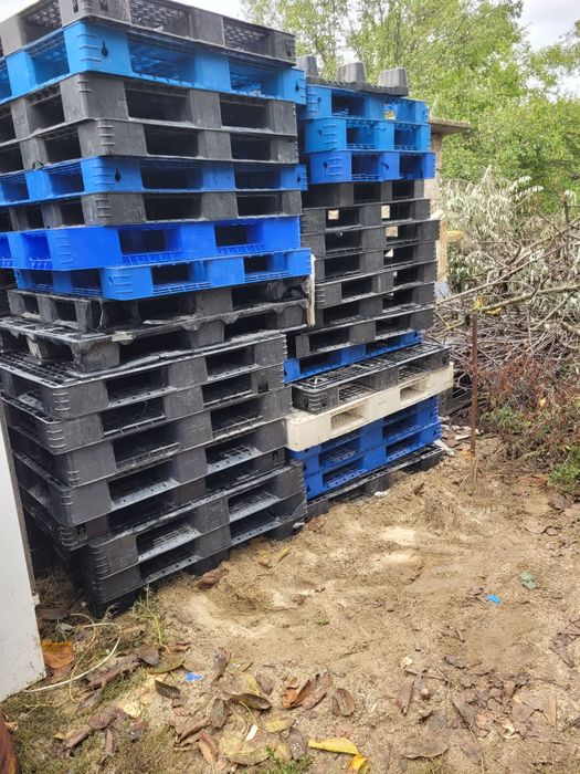 Paleti plastic de vânzare
